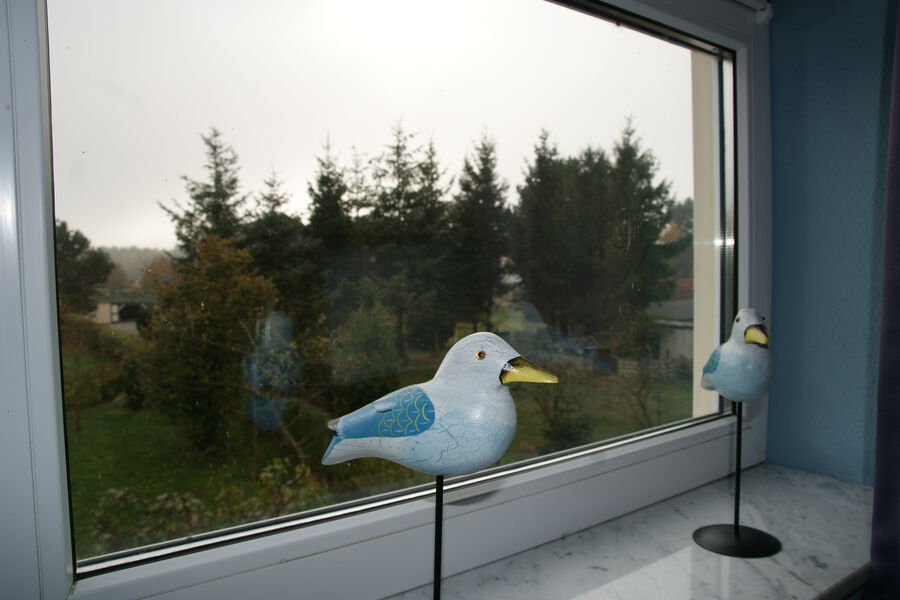 Sonnenschein